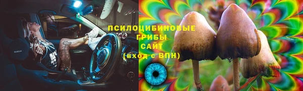 герыч Майский