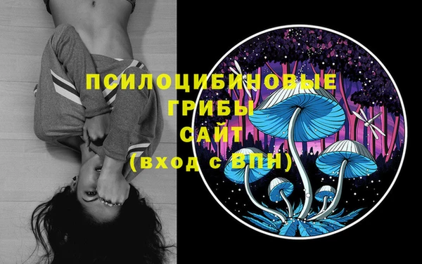 герыч Майский
