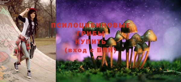 герыч Майский